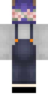 Задняя часть скина игрока kot14