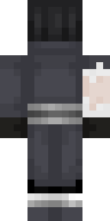 Задняя часть скина игрока l1eenq