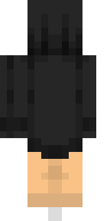 Задняя часть скина игрока laran118