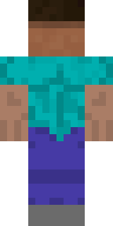 Задняя часть скина игрока laziske21