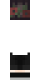 Задняя часть скина игрока litlfacer