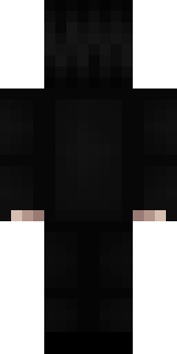 Задняя часть скина игрока litwinow