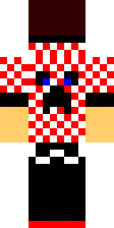 Задняя часть скина игрока login