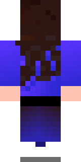 Задняя часть скина игрока lolomka228