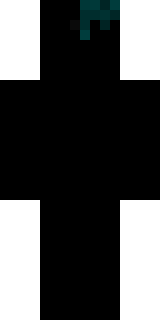 Задняя часть скина игрока miron_007