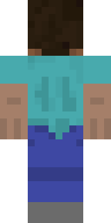 Задняя часть скина игрока nikas231