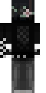 Задняя часть скина игрока nikkat_26