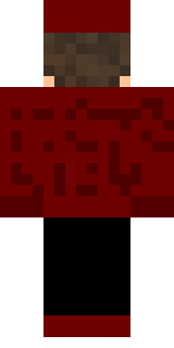 Задняя часть скина игрока nininick125