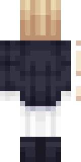 Задняя часть скина игрока nitt_TO_PvP