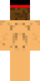 Задняя часть скина игрока paflick