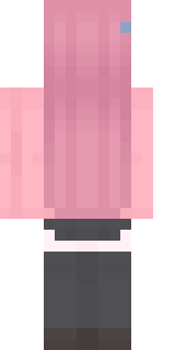 Задняя часть скина игрока paralysations