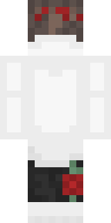 Задняя часть скина игрока pipidonchik666