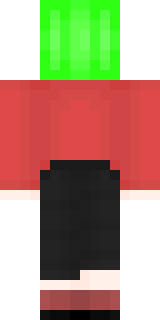 Задняя часть скина игрока pleer4Gud