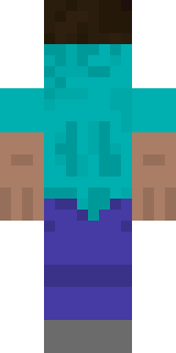 Задняя часть скина игрока poarty