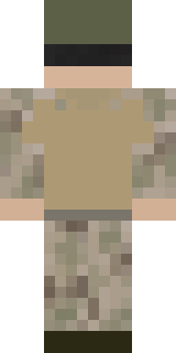 Задняя часть скина игрока prigojin