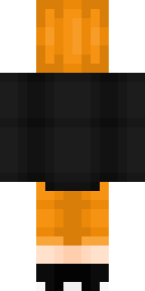 Задняя часть скина игрока pupsik_1