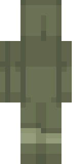 Задняя часть скина игрока qwpe