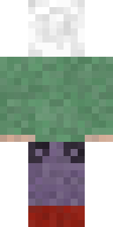 Задняя часть скина игрока rastigai345