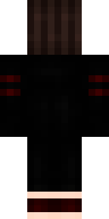 Задняя часть скина игрока raudflex