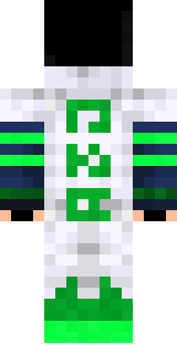 Задняя часть скина игрока raynex