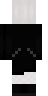 Задняя часть скина игрока ro_901