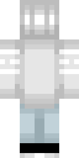 Задняя часть скина игрока rookit