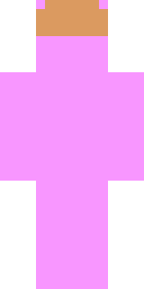 Задняя часть скина игрока sanyalox123