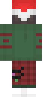 Задняя часть скина игрока sasha0123