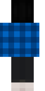 Задняя часть скина игрока sasi12