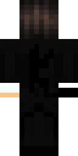 Задняя часть скина игрока seksiiness