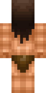 Задняя часть скина игрока shakker