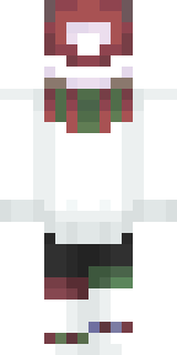 Задняя часть скина игрока shelemenando