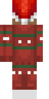 Задняя часть скина игрока shwed_