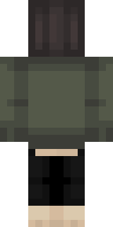 Задняя часть скина игрока skl1roz