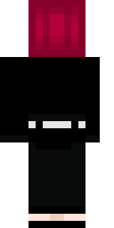 Задняя часть скина игрока skytorex