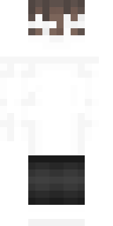 Задняя часть скина игрока slaventus_lix