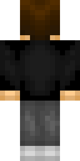 Задняя часть скина игрока sqdRester