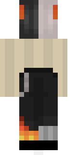 Задняя часть скина игрока sspolinass