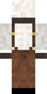 Задняя часть скина игрока stariypauk