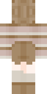 Задняя часть скина игрока sunpin_