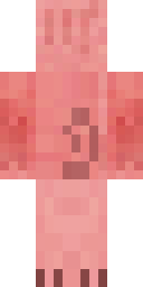 Задняя часть скина игрока svin