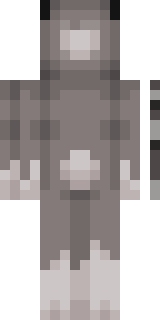 Задняя часть скина игрока swtfh