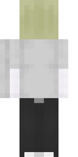 Задняя часть скина игрока t0xikkkk