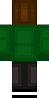 Задняя часть скина игрока thegamesmaps