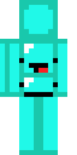 Задняя часть скина игрока timka8