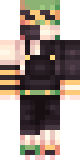 Задняя часть скина игрока toerobor