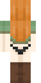 Задняя часть скина игрока tyshenka