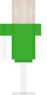 Задняя часть скина игрока ubizorchick