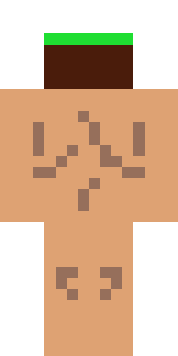 Задняя часть скина игрока vimia