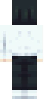 Задняя часть скина игрока waterless